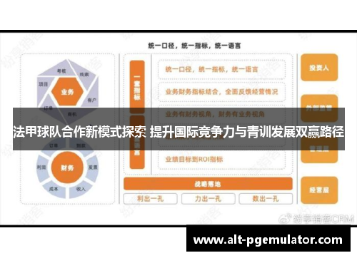 法甲球队合作新模式探索 提升国际竞争力与青训发展双赢路径