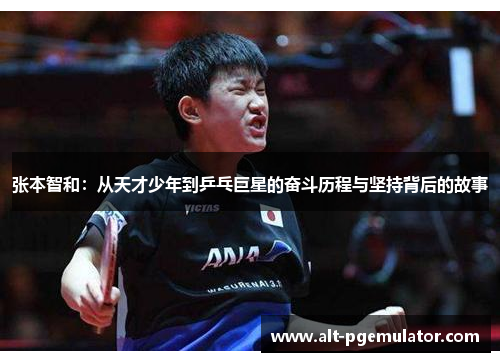 张本智和：从天才少年到乒乓巨星的奋斗历程与坚持背后的故事
