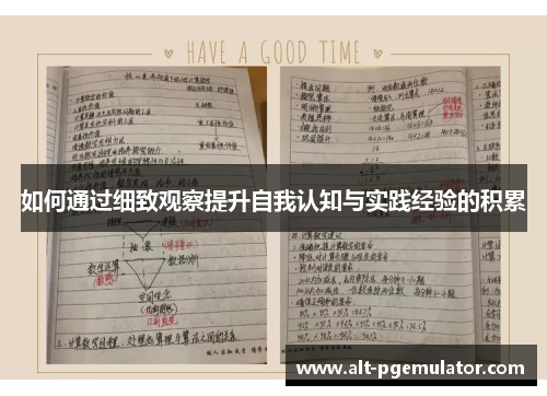 如何通过细致观察提升自我认知与实践经验的积累