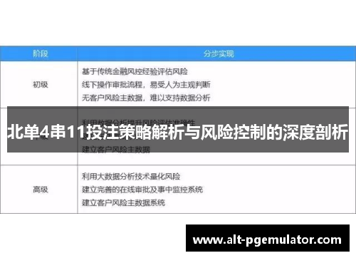 北单4串11投注策略解析与风险控制的深度剖析