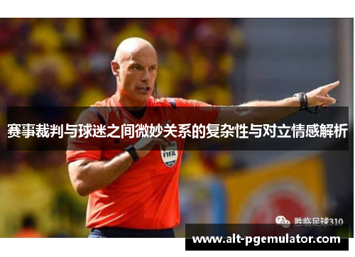 赛事裁判与球迷之间微妙关系的复杂性与对立情感解析