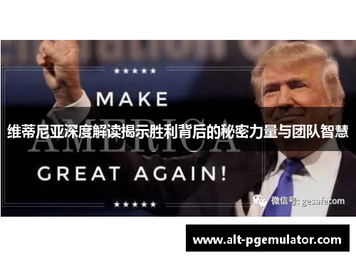 维蒂尼亚深度解读揭示胜利背后的秘密力量与团队智慧